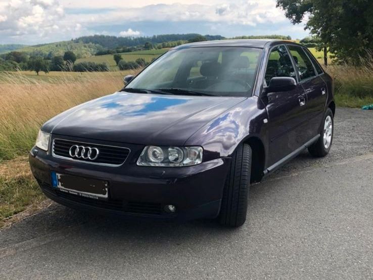 Audi A3 8l Tür Kofferraumklappe Motorhaube Stoßstange Xenon&PDC in Willebadessen