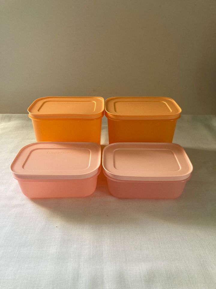 Tupperware Eiskristall/Gefrierbehälter Set (6) o. (4) o. (2) *NEU in Aichelberg