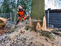 Baumfällungen,  Baumpflege , Rüchschnittarbeiten Nordrhein-Westfalen - Overath Vorschau