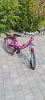 Pegasus Kinder Fahrrad 20 Zoll Bayern - Manching Vorschau