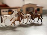 Schleich Pferde Westernreiter Köln - Seeberg Vorschau