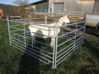 Steckfix-Horden für Schafe, Ziegen, Kälber, Ponys und Esel Hessen - Schotten Vorschau