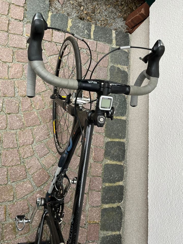 Carbon Rennrad Giant top Zustand in Cottbus