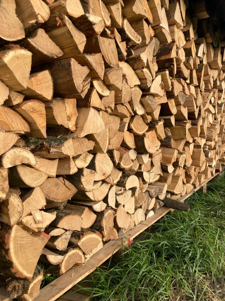 Kaminholz Brennholz Scheidtholz Kamin Heizsaison 24/25 in Ratingen