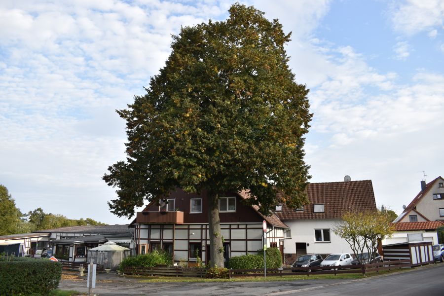 Vollvermietetes Mehrfamilienhaus mit Gewerbeflächen (8 WE + 2 GE) und Erweiterungspotential in Göttingen