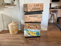 5 Umzugskartons Umzugskisten Bananenkisten Rheinland-Pfalz - Mainz Vorschau