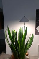 LED Lampe für Pflanzen Sachsen - Taucha Vorschau