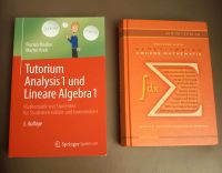 Bücher für die höhere Mathematik Thüringen - Niederorschel Vorschau