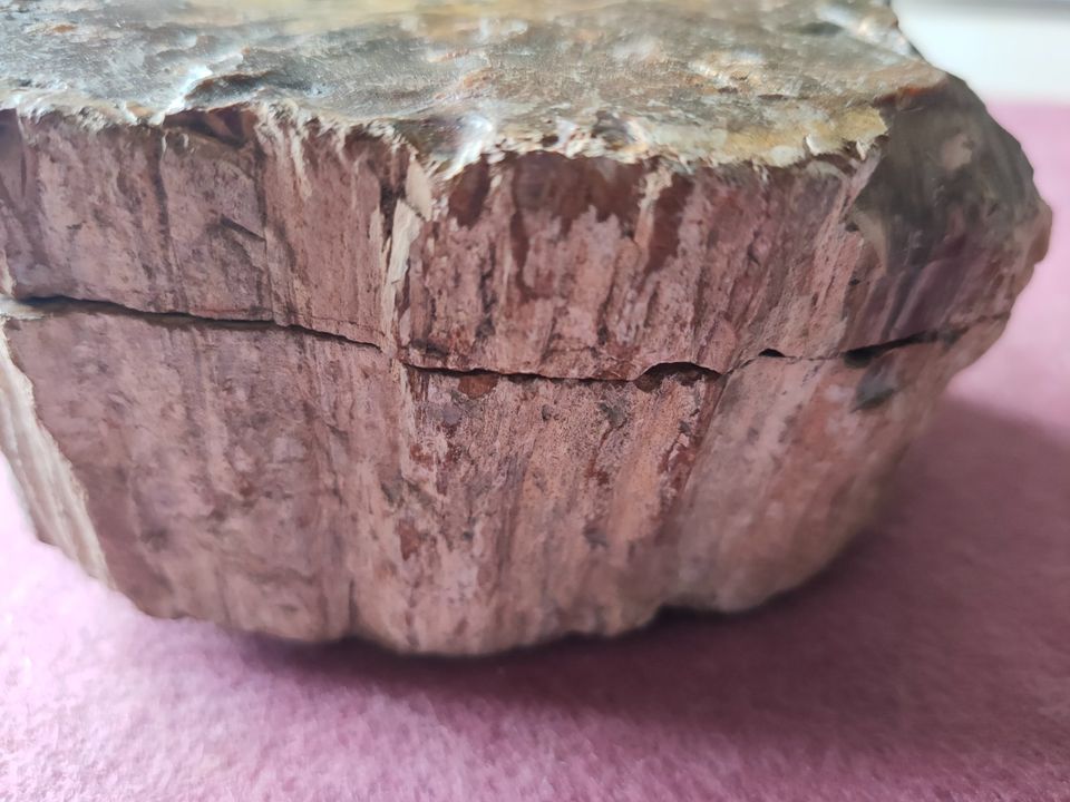 Dickes Stück versteinertes Holz, ca. 1.295g, 13x9x6cm, fossil in Düsseldorf