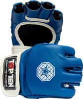 Top Ten MMA Handschuhe „Striking C-Type“ Blau Häfen - Bremerhaven Vorschau