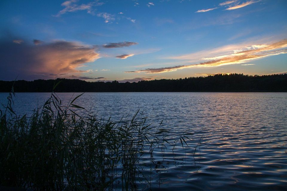 Nichts wie hin ins Seenparadies! Ferienhäuser in Mecklenburg in Waren (Müritz)