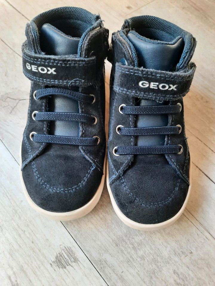 Sneaker Schuhe Turnschuhe Geox wie neu in Seevetal