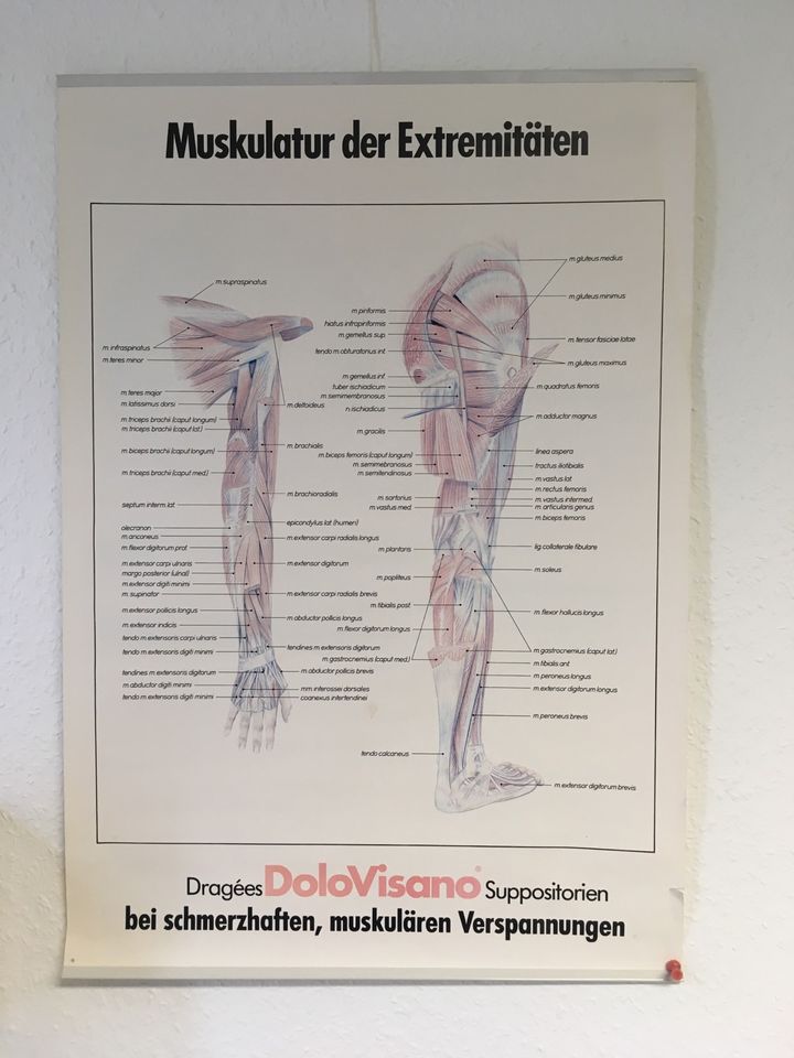 diverse Bildtafel Poster Plakate Medizin in Konstanz