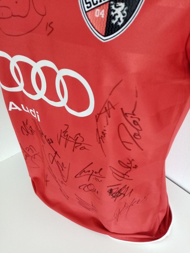 FC Ingolstadt Trikot 13/14 Teamsigniert Autogramm COA Adidas S in Lünen