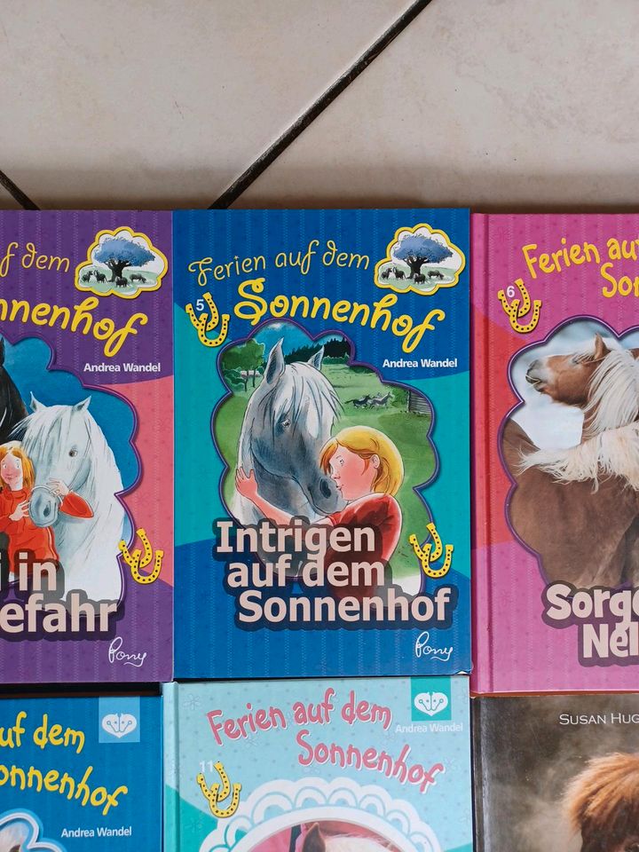 Ponyclub Bücher,  pferdebücher nicht im Handel erhältlich in Passau