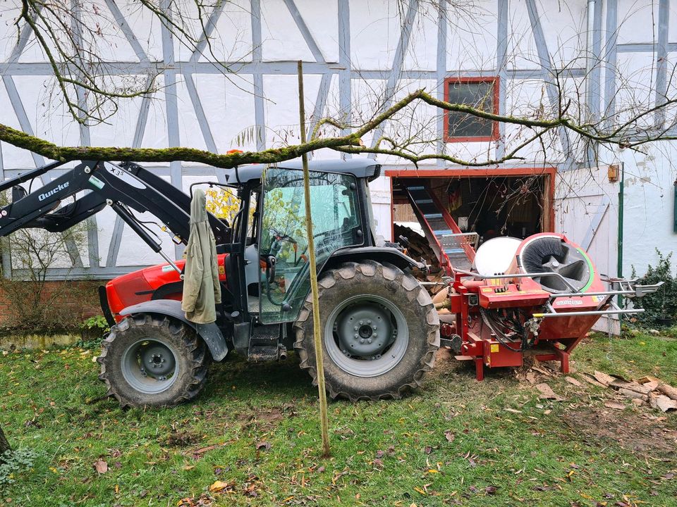 Lohnsägen / Brennholzsägen / Holzsägen / Brennholz in Uhingen