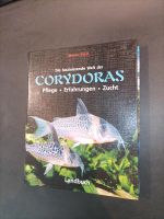 Seuß Corydoras Panzerwelse Baden-Württemberg - Großrinderfeld Vorschau