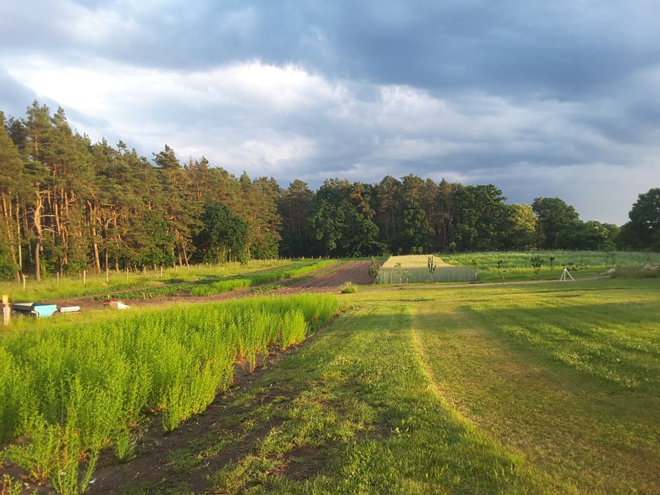 1,7 ha Acker+Wiese, 150 m2 Gewächsh, 9,15 x 12 m Halle & Garagen in