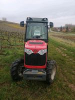 MF Massey Ferguson 3640GE Schmalspurschlepper Schmalspur Traktor Rheinland-Pfalz - Flonheim Vorschau