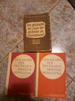 Geschichte deutschen Arbeiterbewegung Lage der Arbeiter 1800 1932 Sachsen - Lichtenberg/Erzgebirge Vorschau