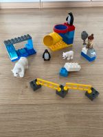 Lego Duplo 5633 Polartiere Nordrhein-Westfalen - Wachtendonk Vorschau