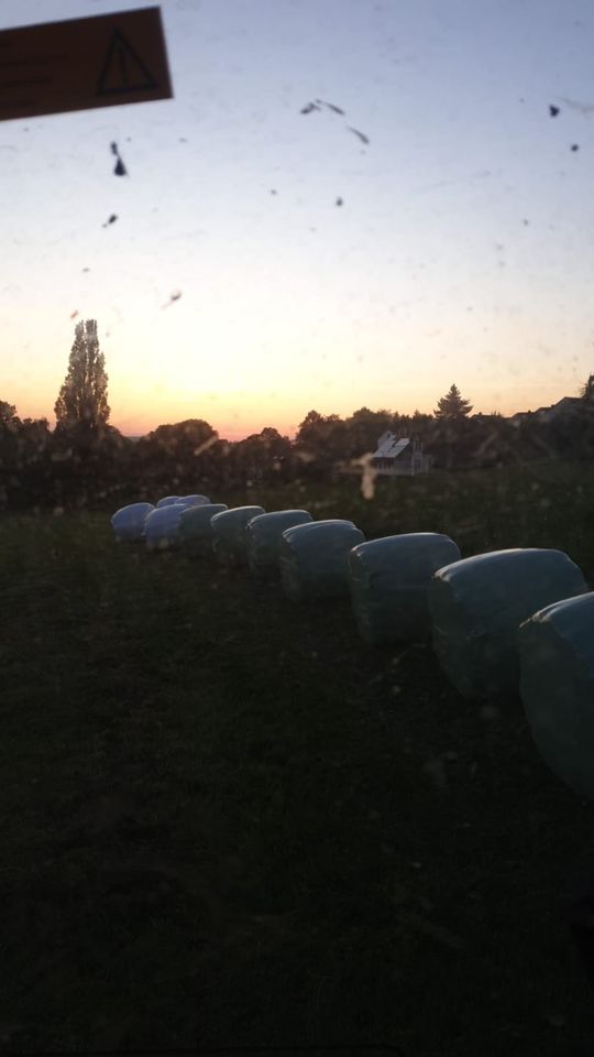 Lohnarbeit Heu u.Heulage machen in Coppenbrügge