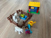 Lego Duplo Pferde 10806 Bad Doberan - Landkreis - Rethwisch Vorschau