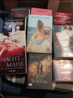 Fantasyromane Cass Schweikert Nash Raye Leigh Forrest 3€Stck Nordrhein-Westfalen - Ibbenbüren Vorschau