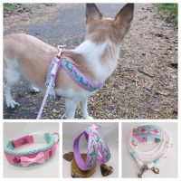 ❤️ Zubehör für Chihuahua, Geschirr, Leine, Bettchen usw ❤️ Brandenburg - Zossen Vorschau