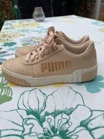 Super Sneaker von Puma gr.40 beige/Gold/weiß Rheinland-Pfalz - Maxdorf Vorschau