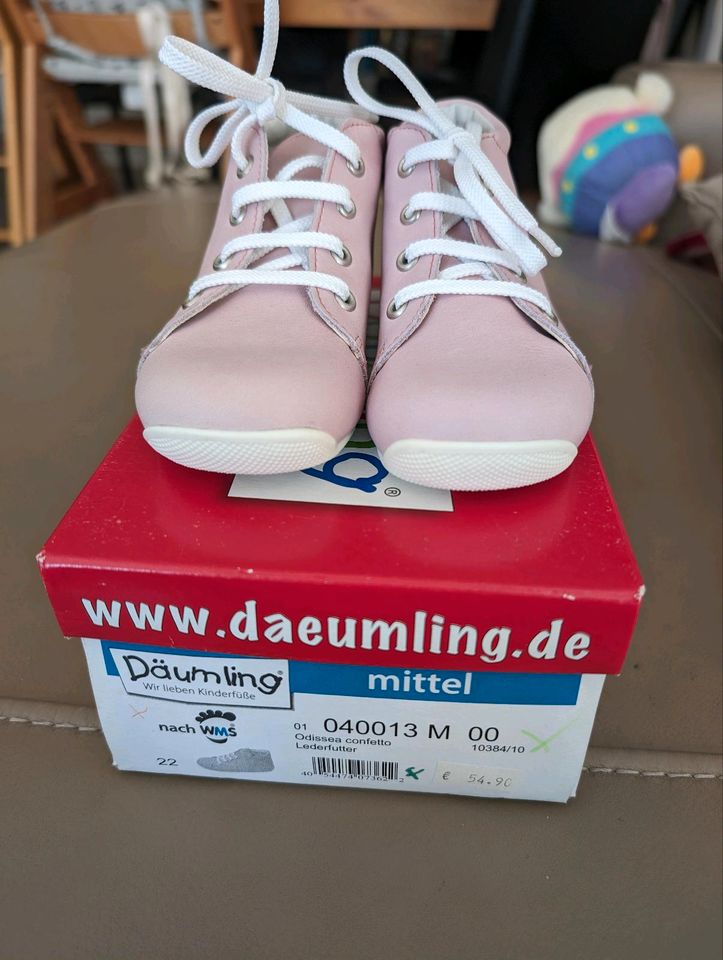 Baby Krabbelschuhe Leder Däumling Größe 22 neu in Düsseldorf