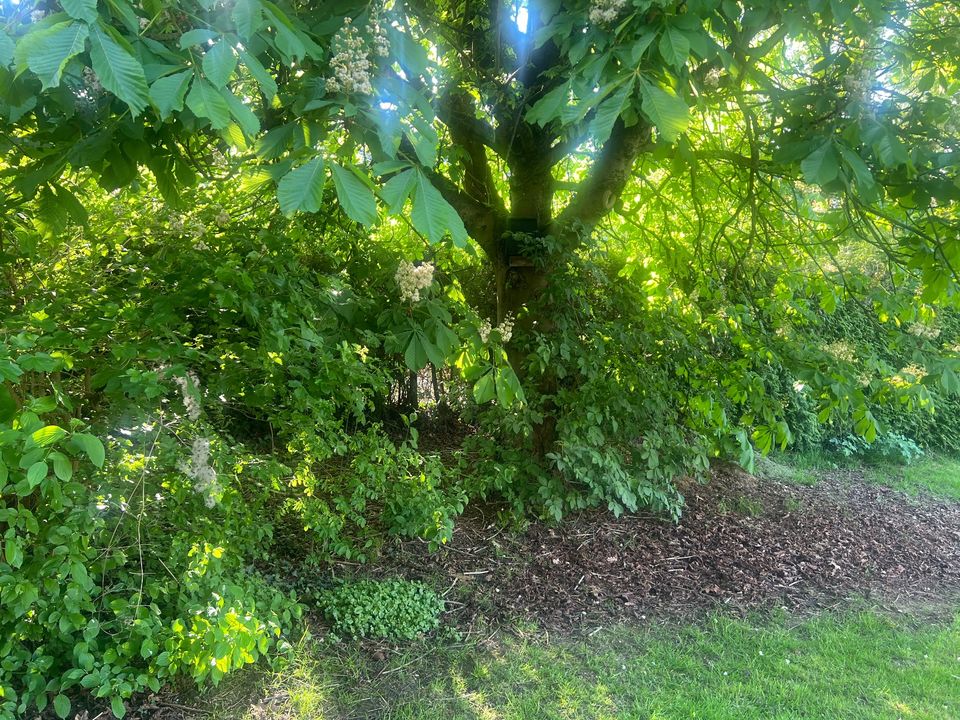 Grundstück in Idyllischer Lage in Bielefeld