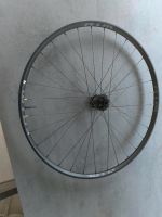 DT Swiss 350 Nabe WTB KOMi 21 Gravel Vorderrad 29" - 15x100 Bayern - Abensberg Vorschau