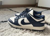 Nike Dunk Sneaker Turnschuhe Größe 39 Sachsen - Zittau Vorschau