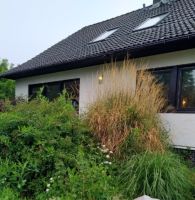 1-2 Familienhaus in Isenbüttel mit Garten und Terrasse Niedersachsen - Isenbüttel Vorschau