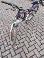 Fahrrad zu verkaufen Nordrhein-Westfalen - Much Vorschau