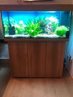 Aquarium Juwel Rio 180 LED Kombination „helles Holz” Komplett Bayern - Marktredwitz Vorschau