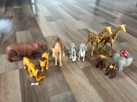 Playmobil Zootiere Baden-Württemberg - Kusterdingen Vorschau