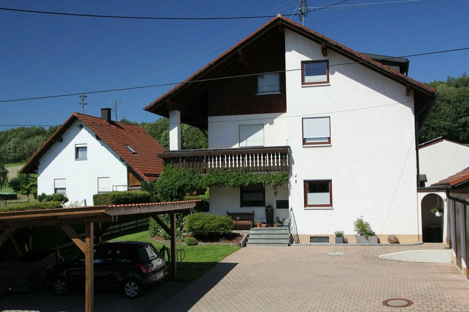 Ferienwohnung Allgäu Ausflüge E-Bike Skylinepark Berge Seen in Mindelheim