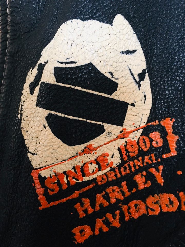 - Harley Davidson Damen Lederjacke in Stockstadt a. Main
