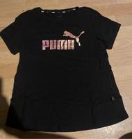 Puma Shirt Niedersachsen - Lingen (Ems) Vorschau