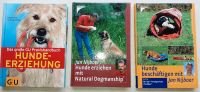 Hunde- Fach und Sachbücher neuwertig Sachsen - Hainewalde Vorschau