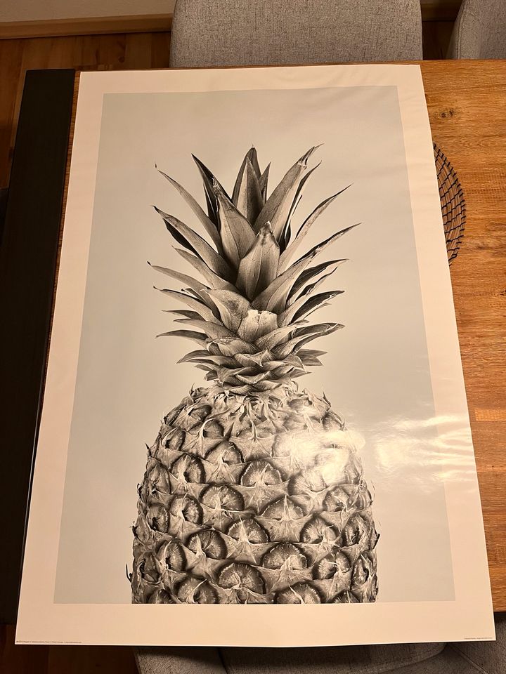 Poster Ananas 60x90 Obst Küche in Wiesbaden