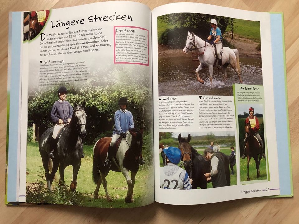 ⭐️ Buch: Reiten lernen mit Spaß ⭐️ Debbie Sly in Ladenburg