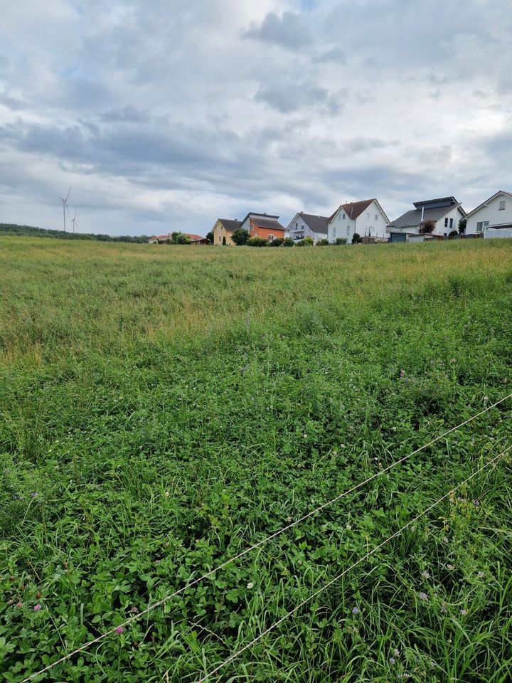 Haus inklusive Grundstück 480m² im Ebsdorfergrund/Rauischholzhausen in Hüttenberg