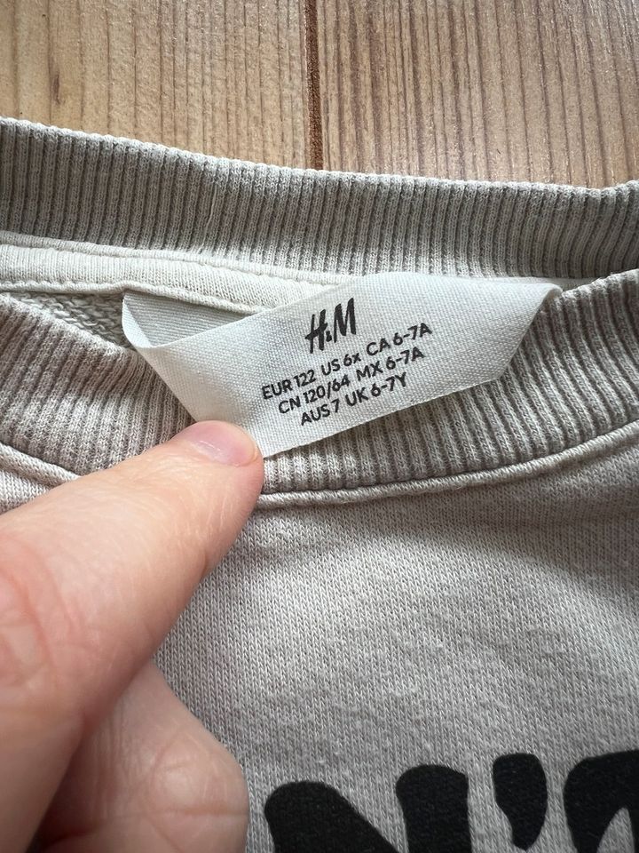 H&M Pullover 122 Chamäleon Kinder Junge Mädchen Pulli in Hamburg