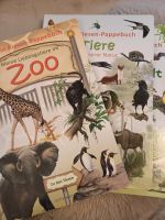 Riesen Pappbuch Bilderbücher Natur Zoo Garten Sachsen - Heidenau Vorschau
