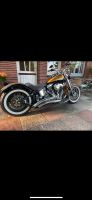 Harley Davidson Softail Springer Niedersachsen - Osten Oste Vorschau