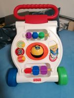 Lauflernwagen fisher price Bayern - Marklkofen Vorschau