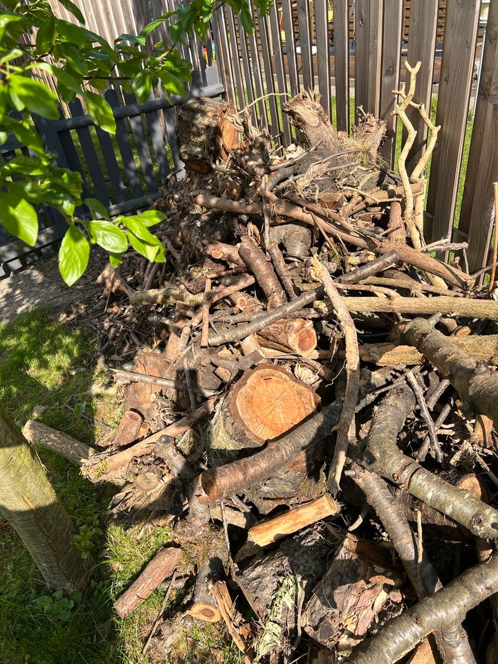 Kirschbaum, Apfelbaum, Holz, Brennholz in Bünde